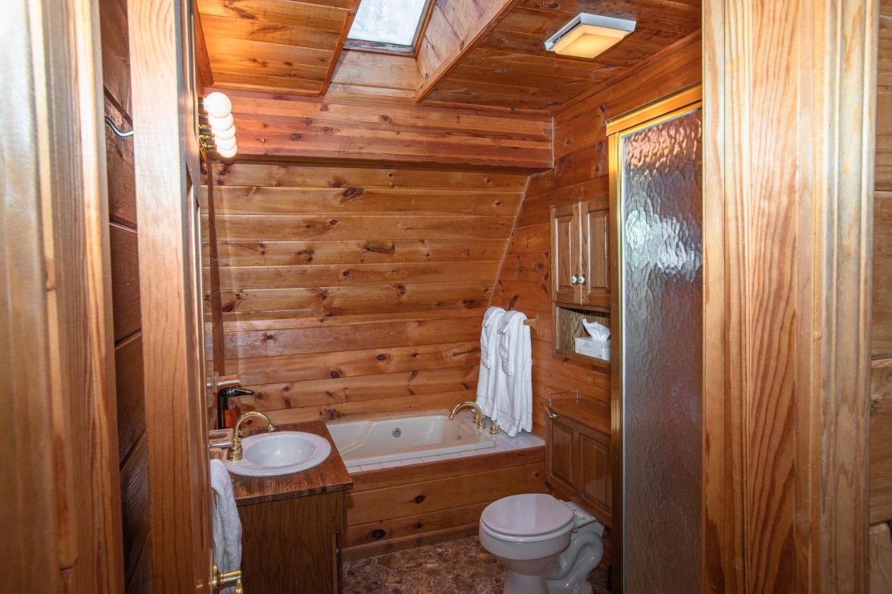 Treetops Cabin Easy To Asheville With Fast Wifi And Great View Swiss Εξωτερικό φωτογραφία