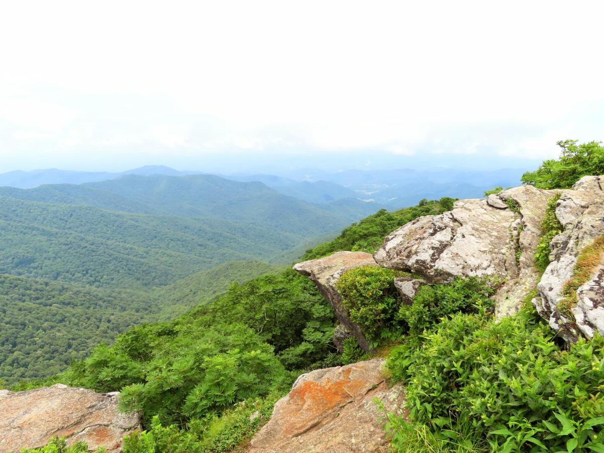 Treetops Cabin Easy To Asheville With Fast Wifi And Great View Swiss Εξωτερικό φωτογραφία