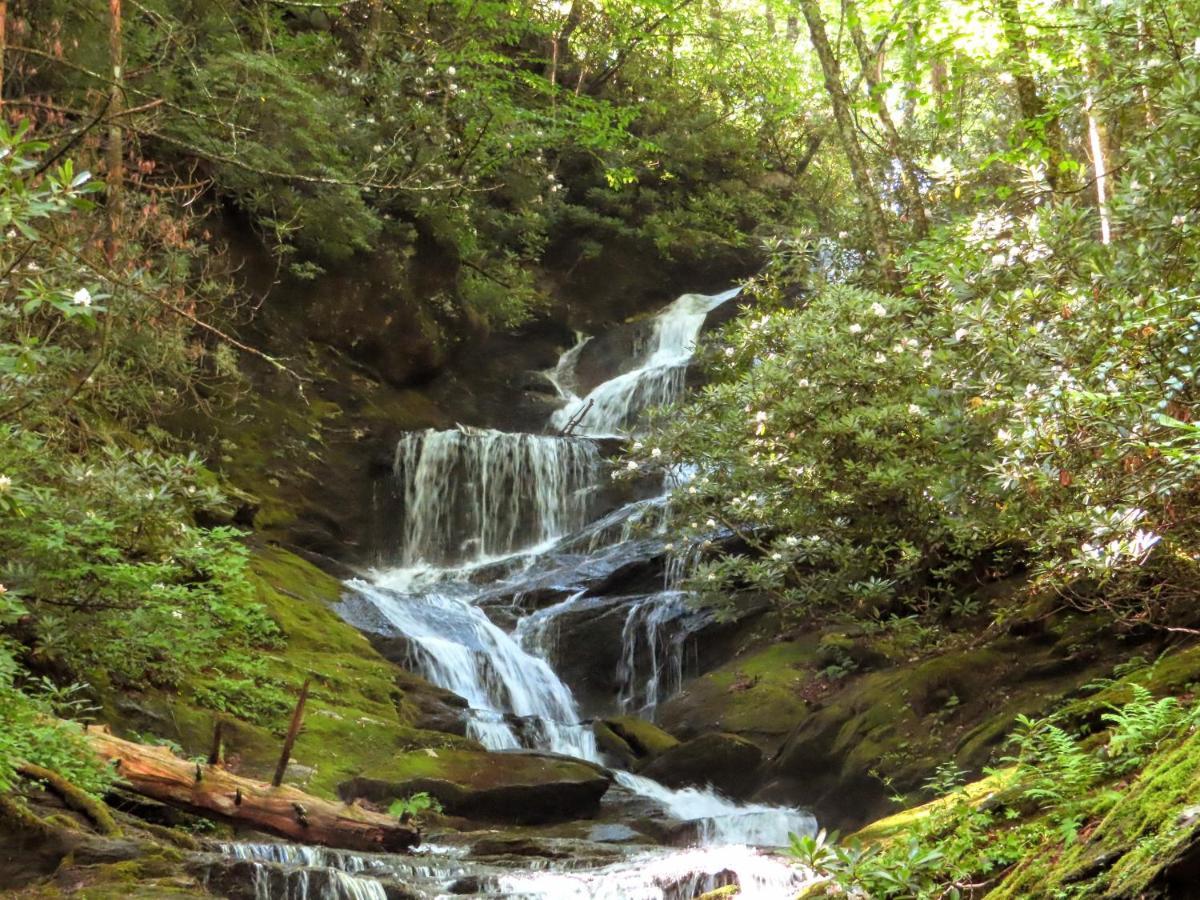 Treetops Cabin Easy To Asheville With Fast Wifi And Great View Swiss Εξωτερικό φωτογραφία