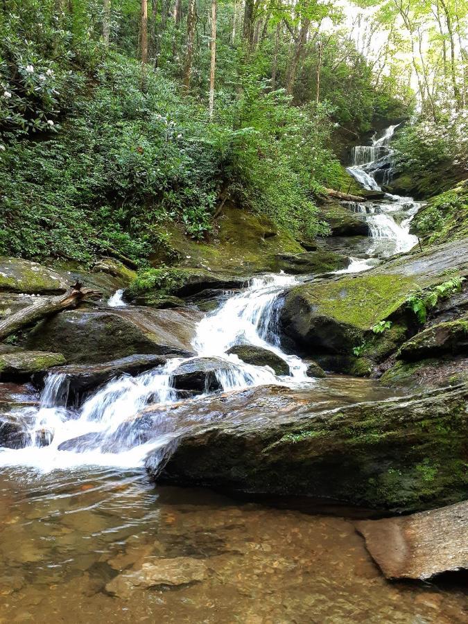 Treetops Cabin Easy To Asheville With Fast Wifi And Great View Swiss Εξωτερικό φωτογραφία